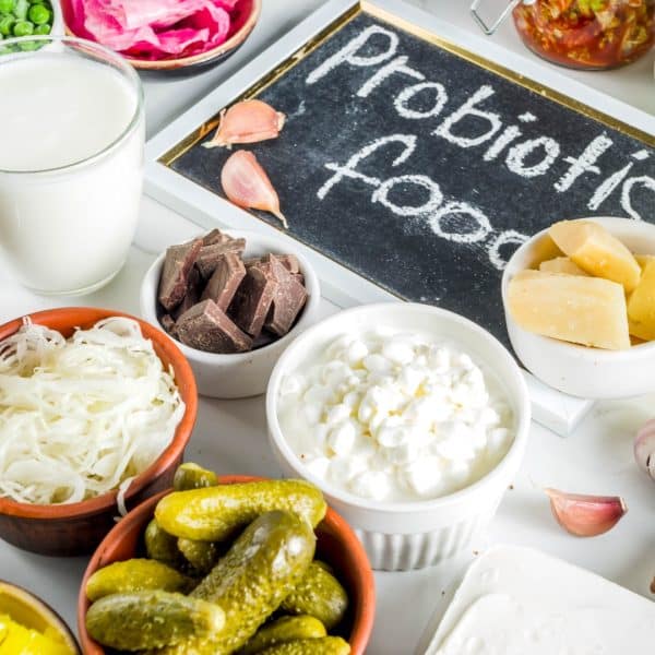 PROBIOTICS FOODS