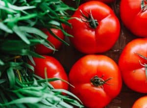 Nightshades and inflammation: Picture of tomatoes on vine