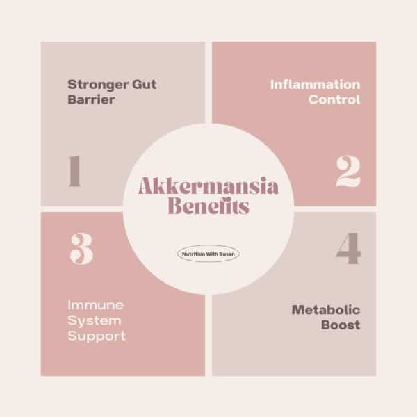 AKKERMANSIA'S IMPACT ON AUTOIMMUNE CONDITIONS: THE BENEFITS