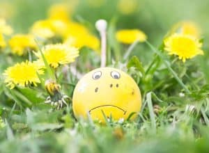 TENNIS BALL WITH A SAD FACE IN A FIELD OF YELLOW FLOWERS