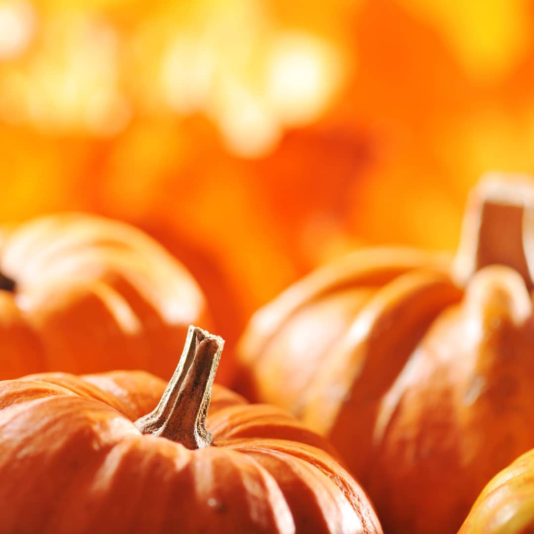 PUMPKIN'S HEALTH BENEFITS