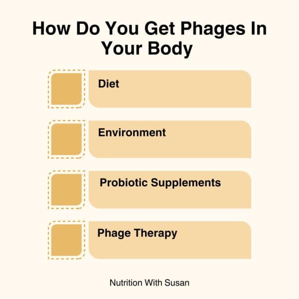 INFOGRAPHIC ON HOW DO YOU GET PHAGES IN YOUR BODY